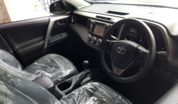 2013 Toyota RAV 4 New Shape full